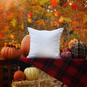 Fall Autumn Outdoor Pillow Mockup JPG