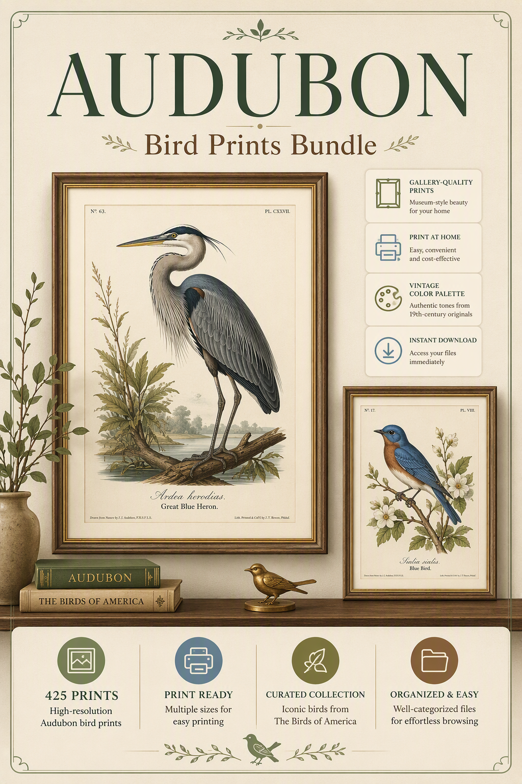 باكدج 425 لوحة طيور أودوبون (Audubon) للطباعة والديكور